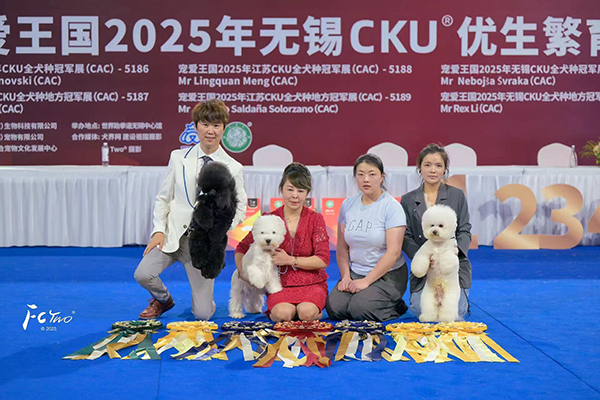 微信图片_20250629194121.jpg