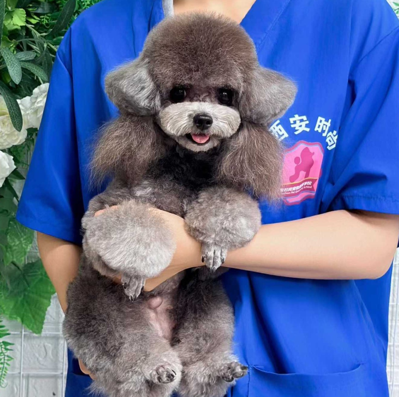 学员作品