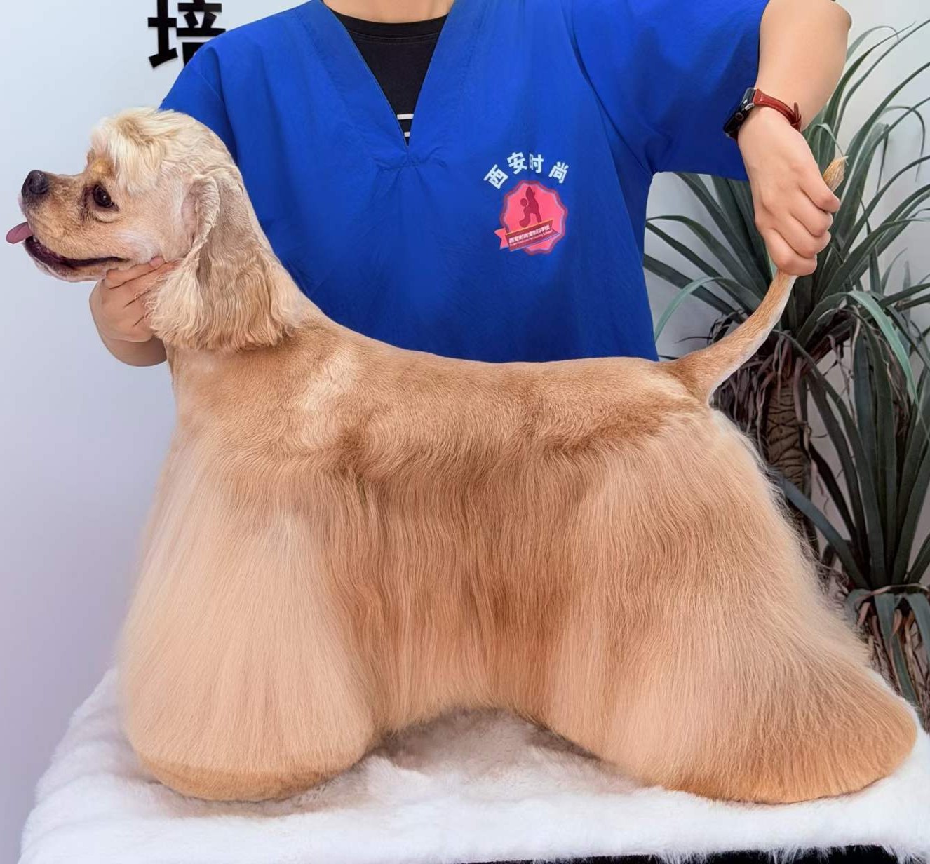 学员作品