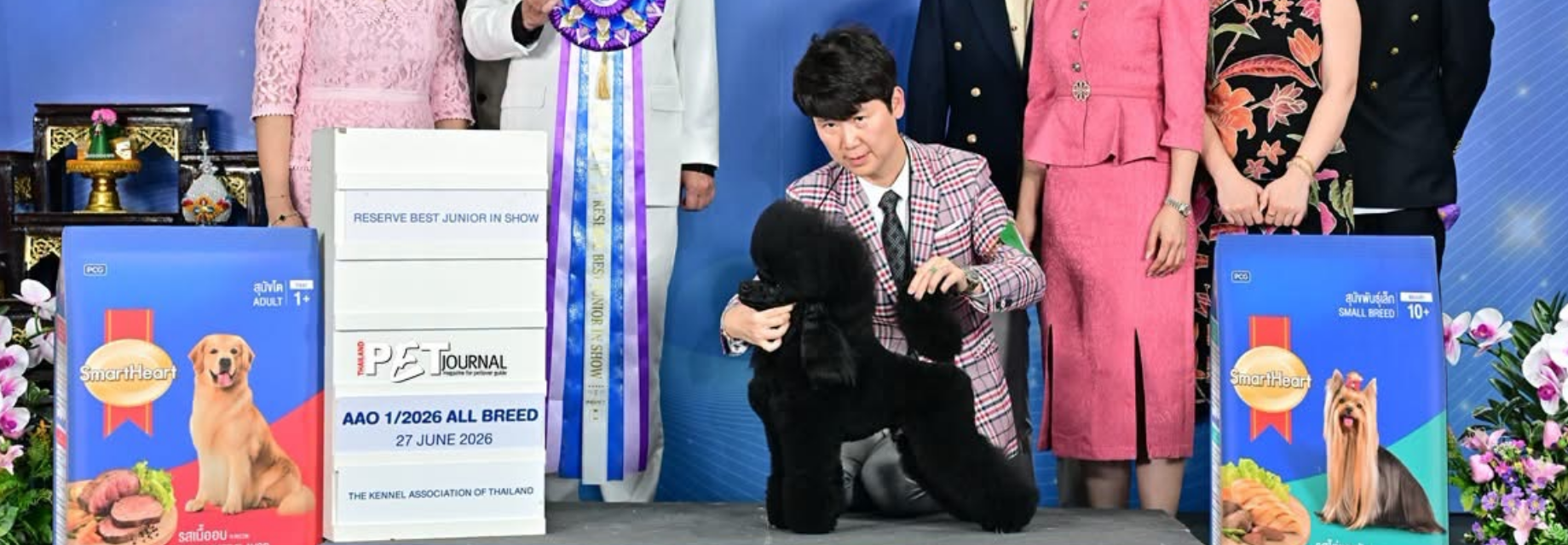 2026中国世界杯