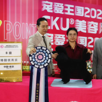 恭喜黄小同学获得CKU南京站B级考试特别优秀奖