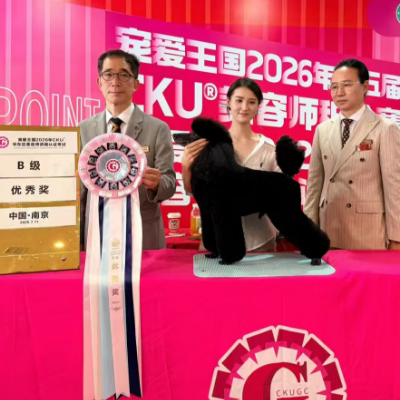恭喜许之婧获得CKU南京站B级考试优秀奖