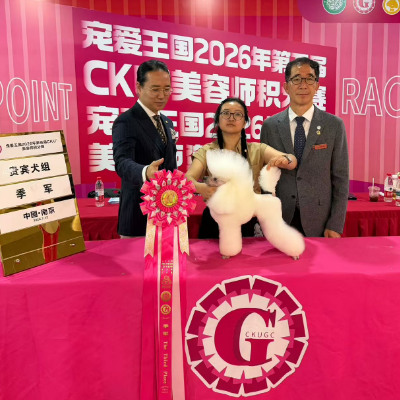 恭喜我校空空获得CKU美容师积分赛南京站贵宾犬组季军